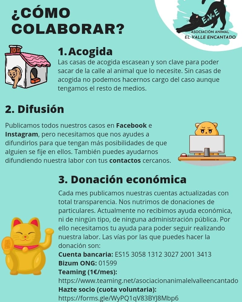 Foto di Asociación Animal El Valle Encantado 8