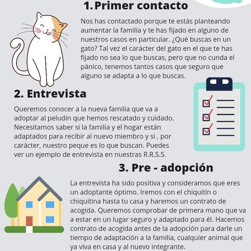 Foto di Asociación Animal El Valle Encantado 6