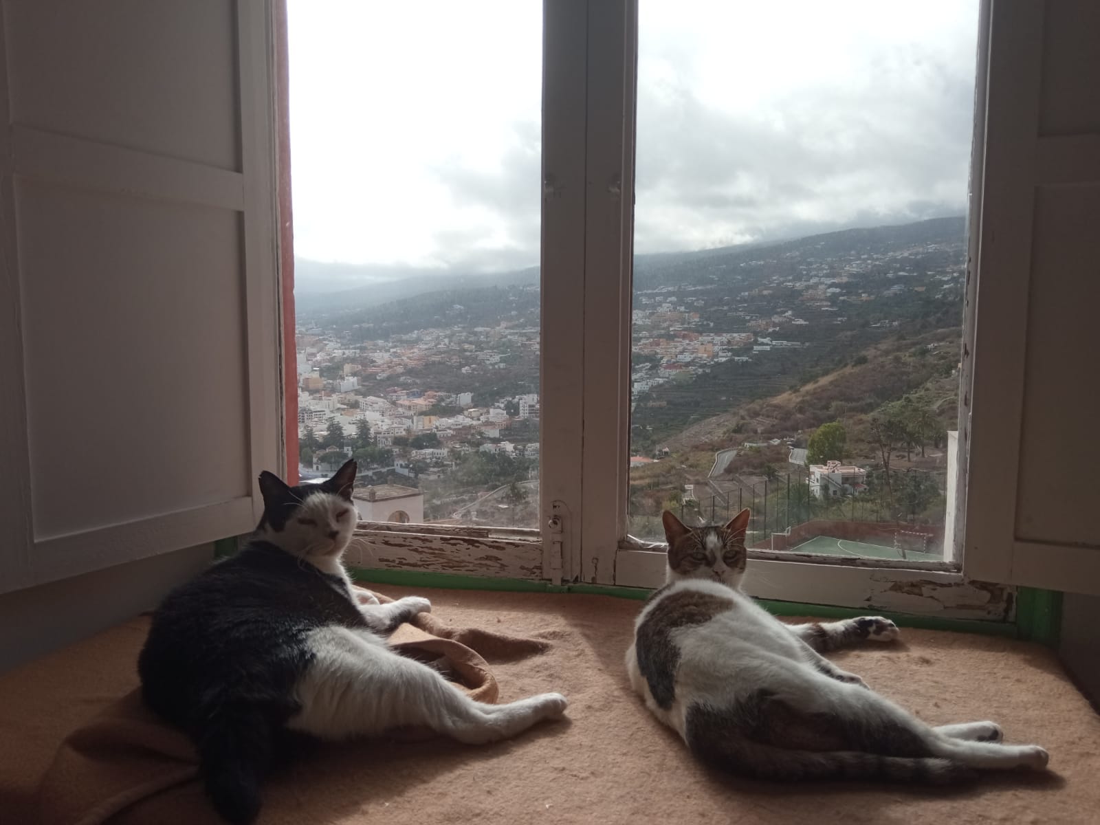 GORDO, CLEO Y NANA