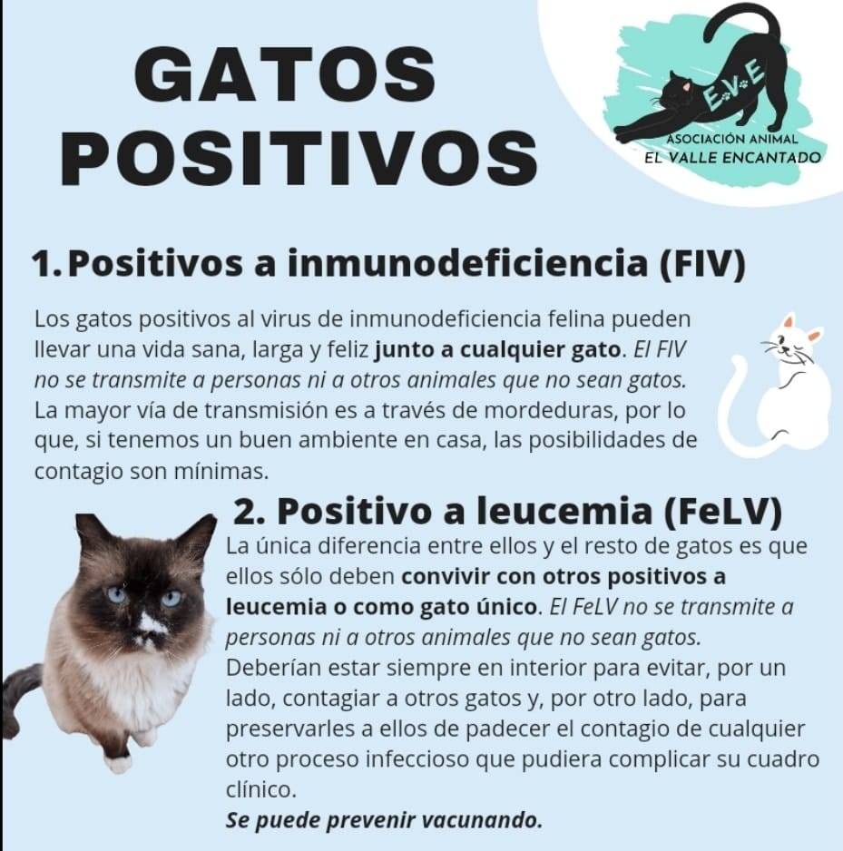 Foto di Asociación Animal El Valle Encantado 2
