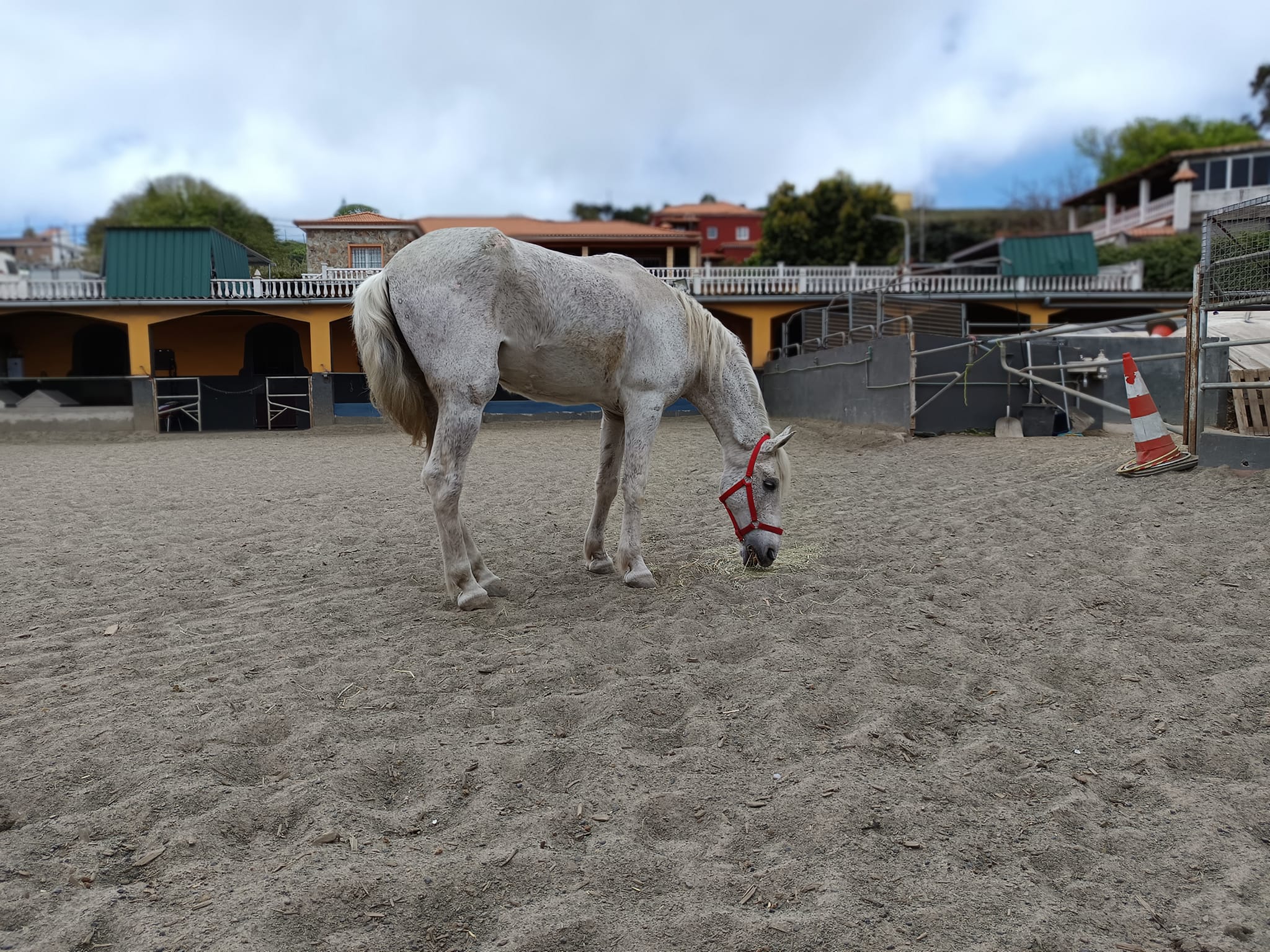 Curro