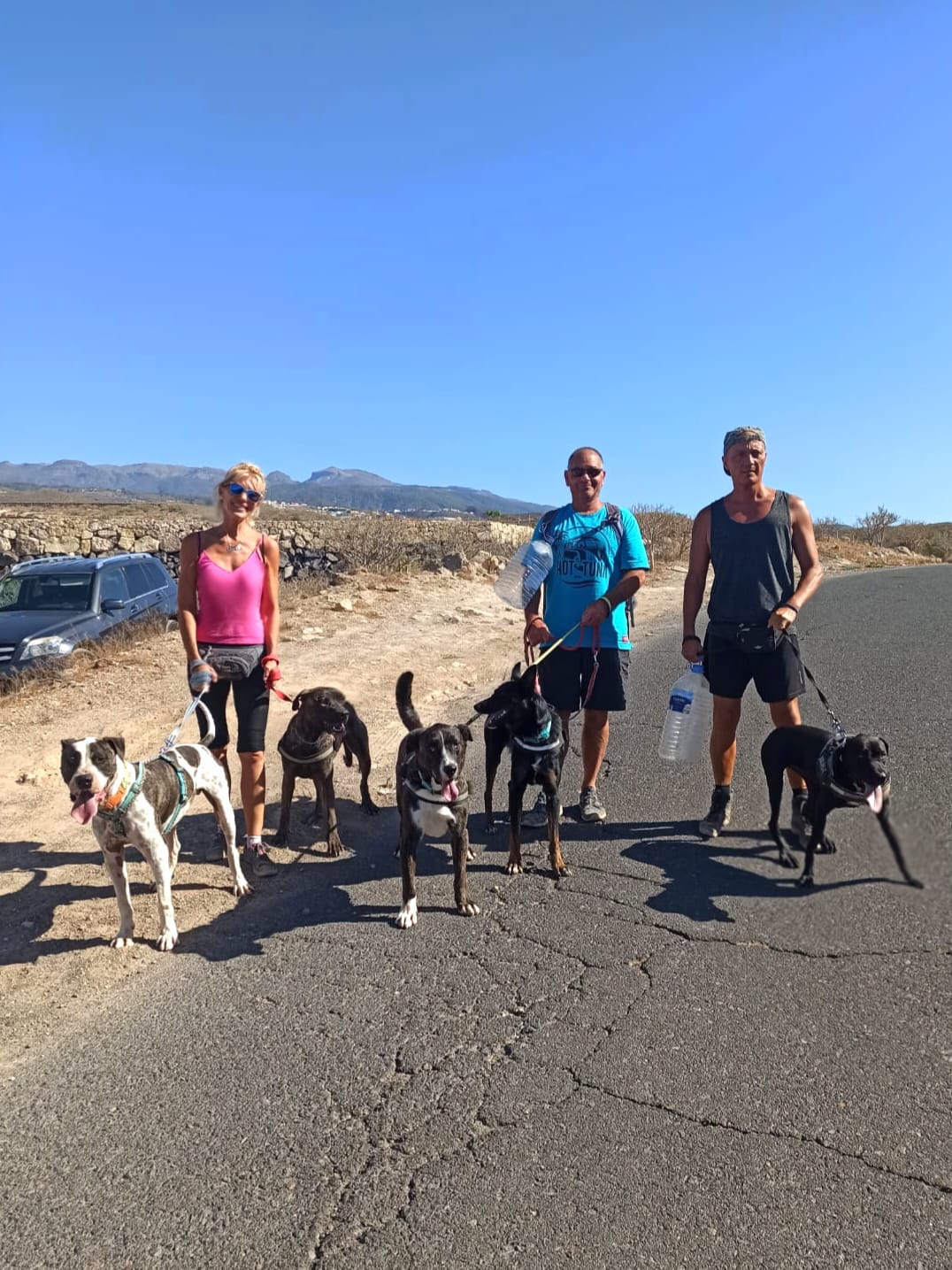 Foto di K9 Tenerife 1