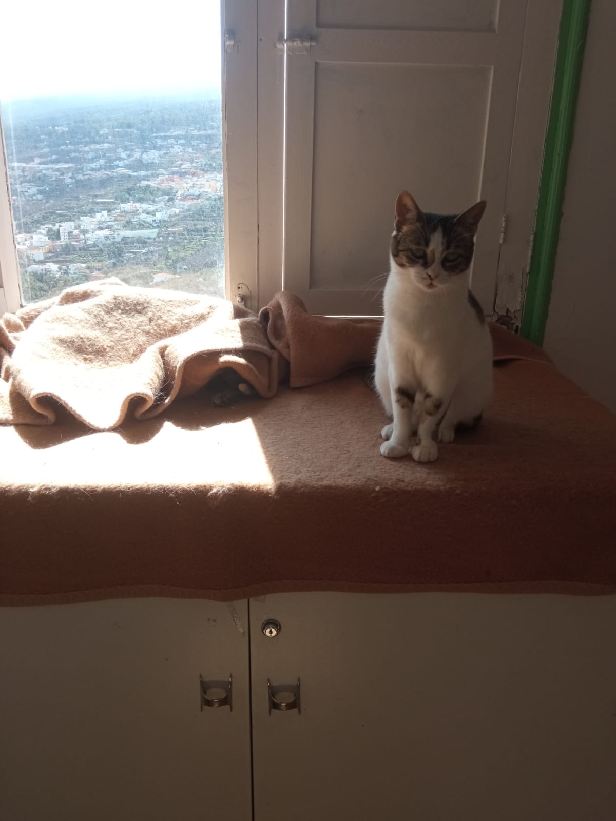 GORDO, CLEO Y NANA