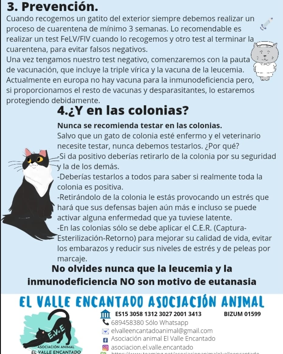 Foto di Asociación Animal El Valle Encantado 3
