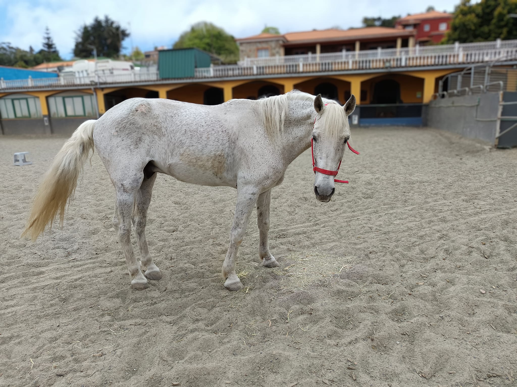 Curro