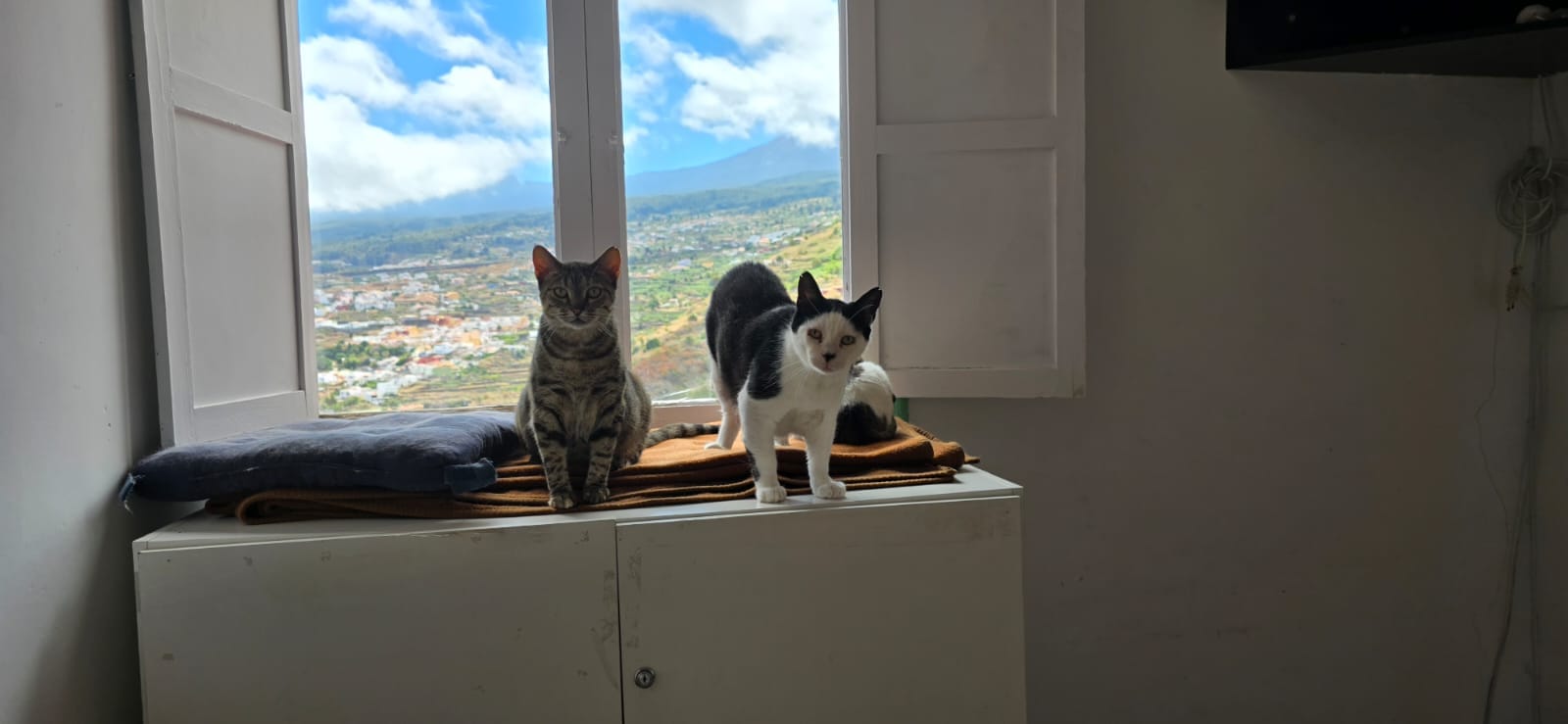 GORDO, CLEO Y NANA