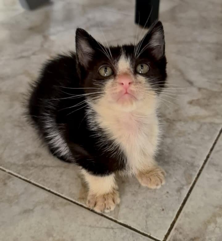 Blanco y negro