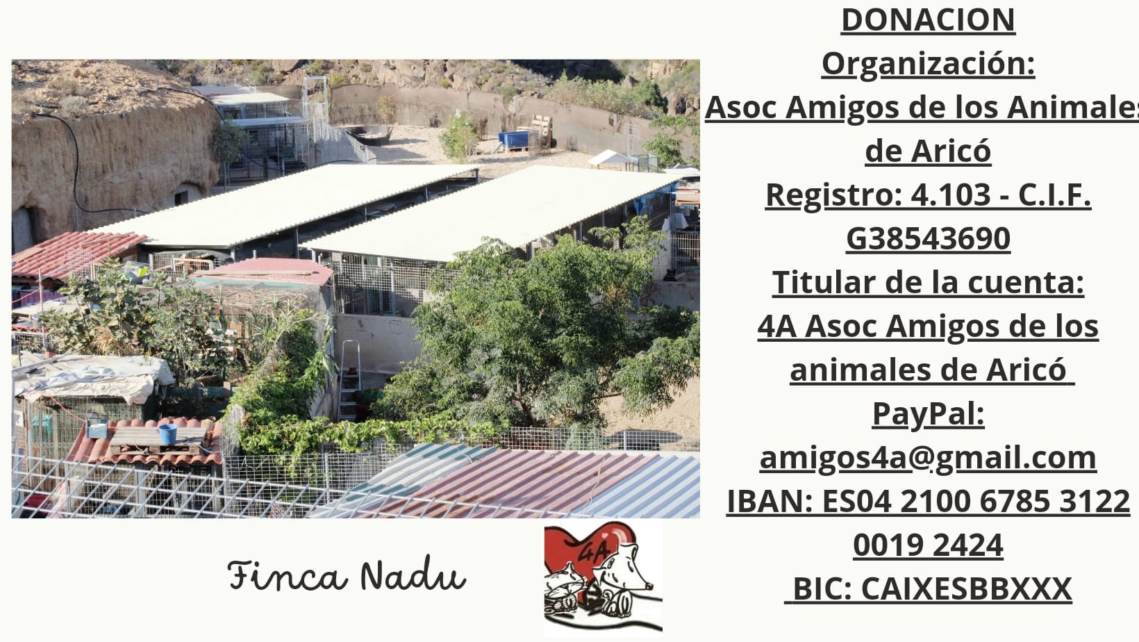 Foto di 4A Asoc Amigos Animales Arico 1