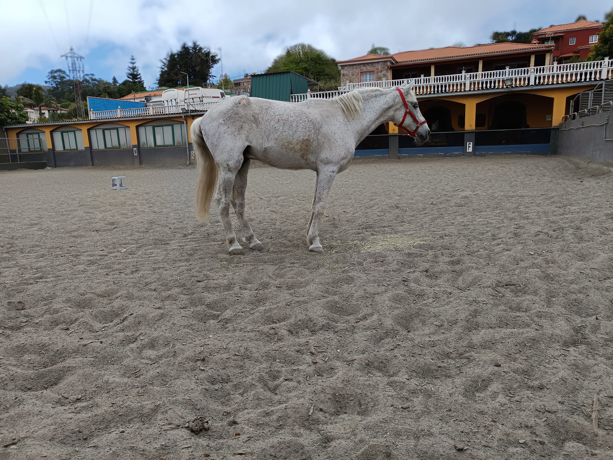 Curro