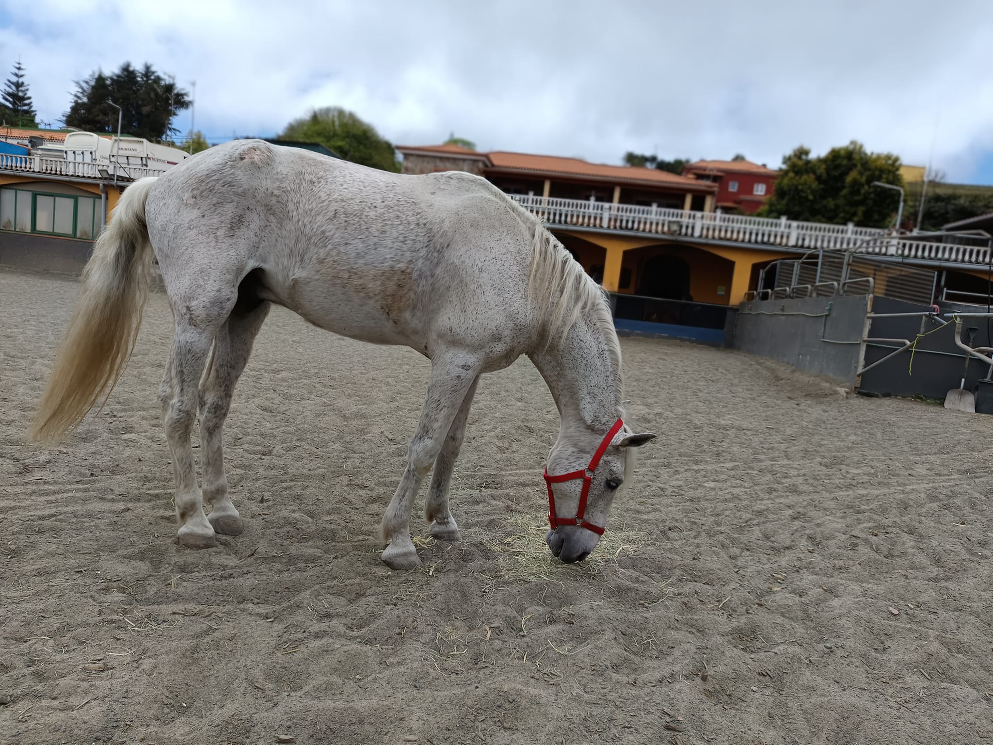 Curro