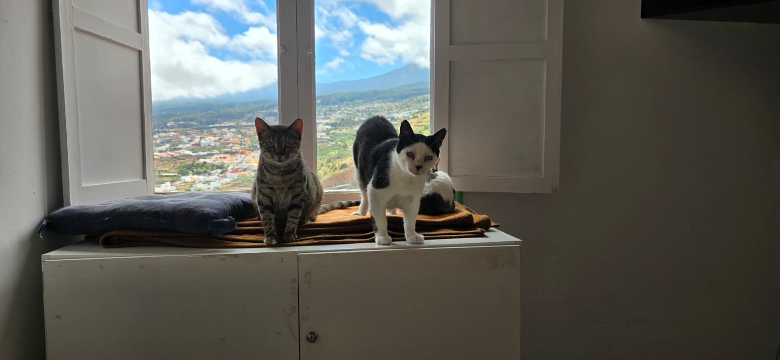 GORDO, CLEO Y NANA