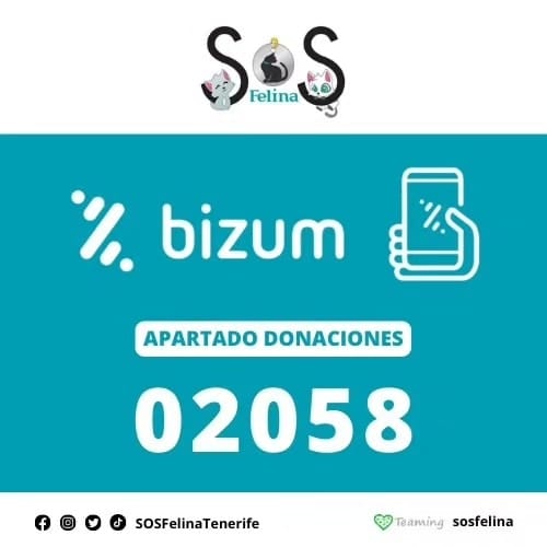 Foto di SOS Felina  2