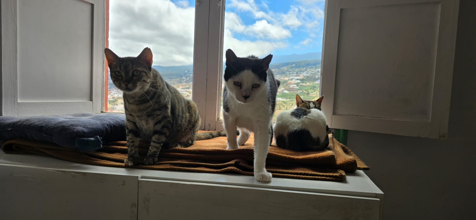 GORDO, CLEO Y NANA