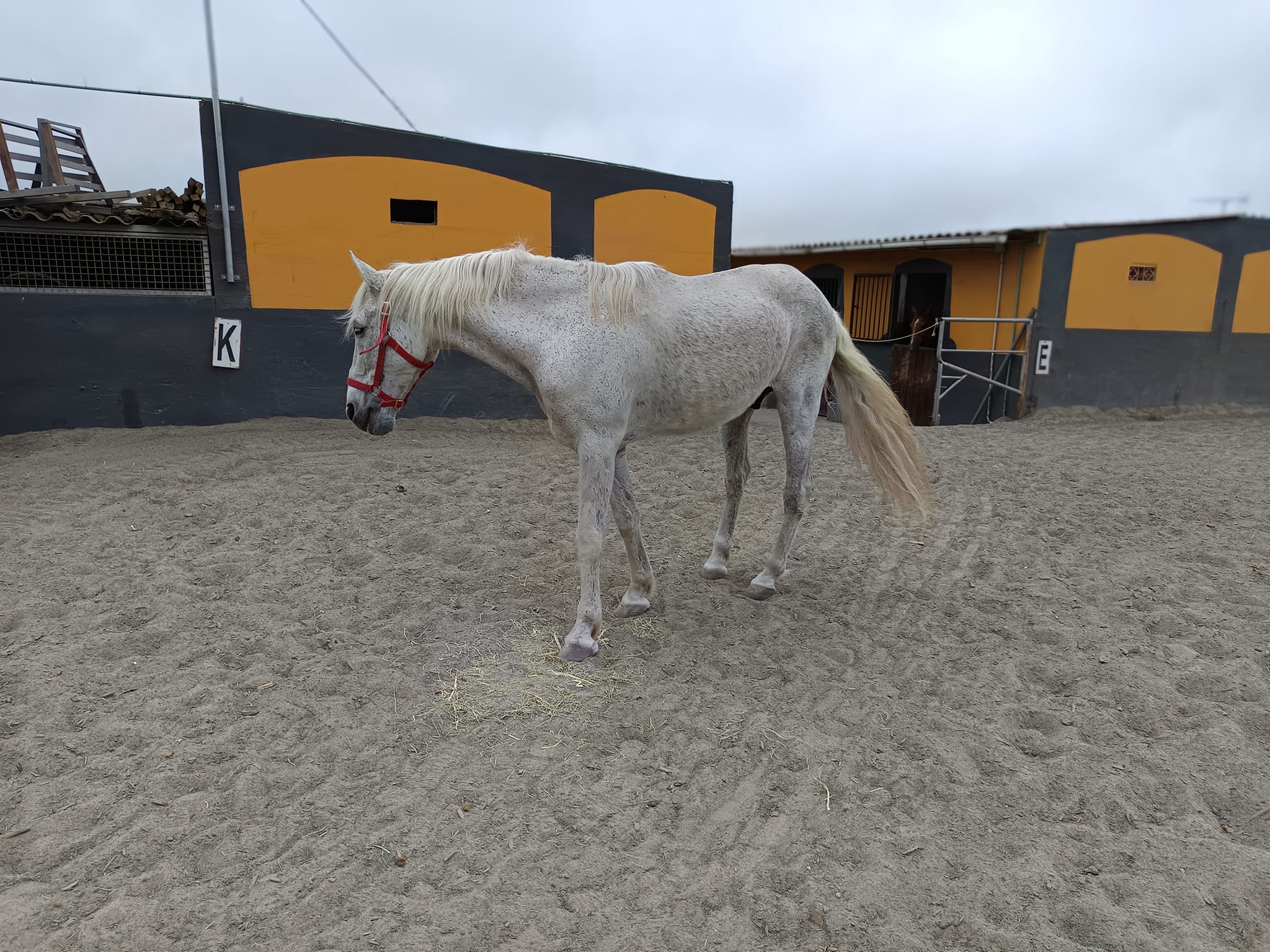 Curro