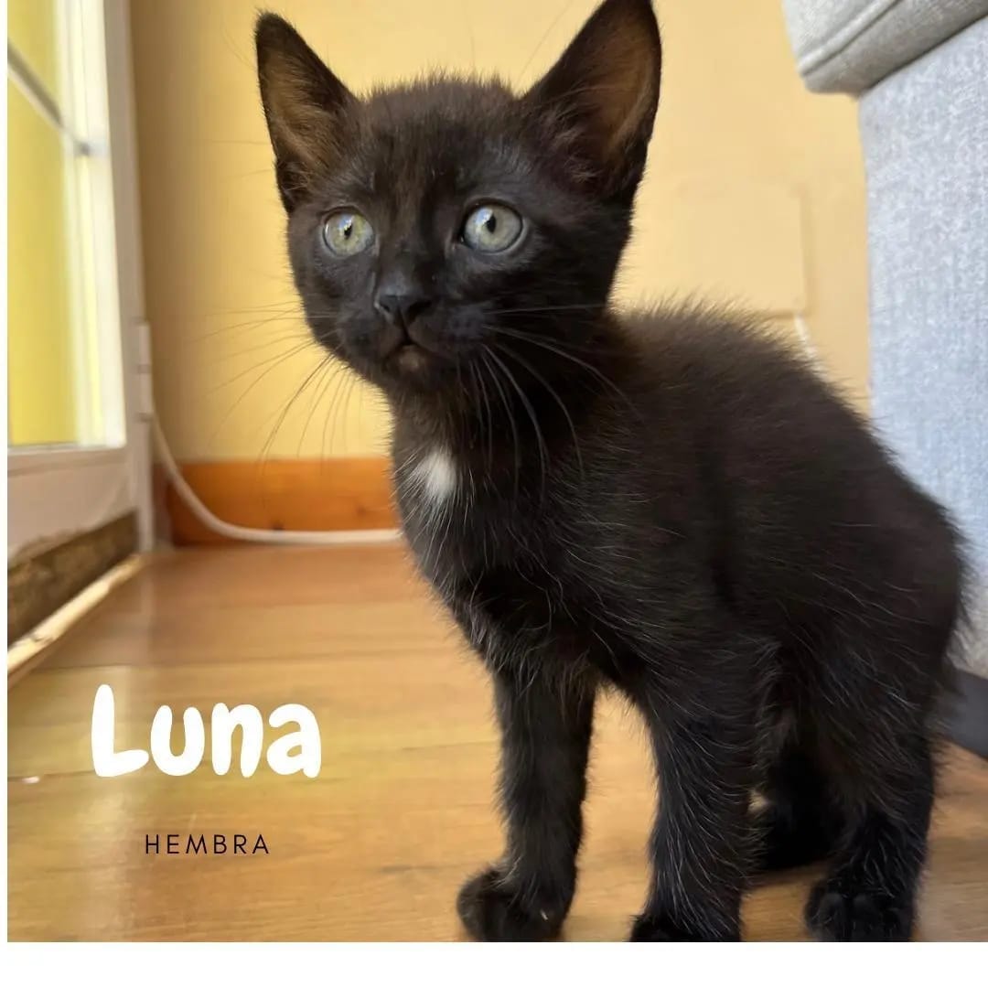 Luna