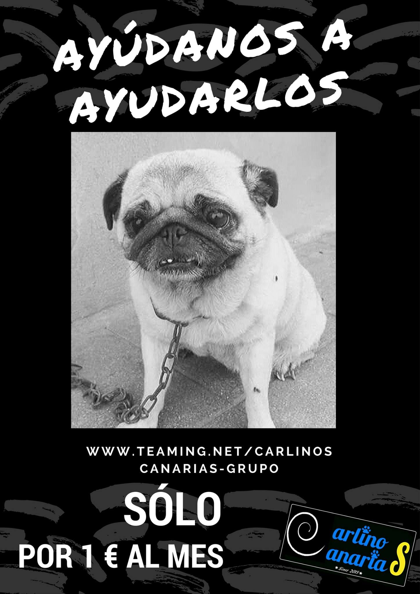 Foto di Carlinos Canarias Asociación 1