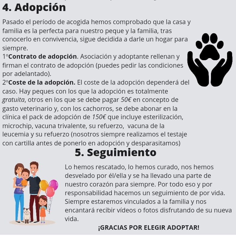 Foto di Asociación Animal El Valle Encantado 7