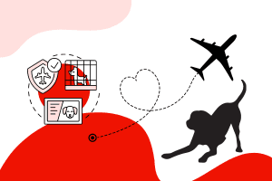 Actividad de Padrinos de Vuelo