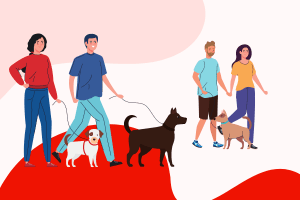 Actividad de Paseo de Perros