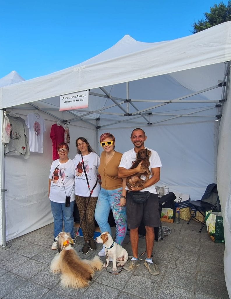 Voluntarios para Stand
