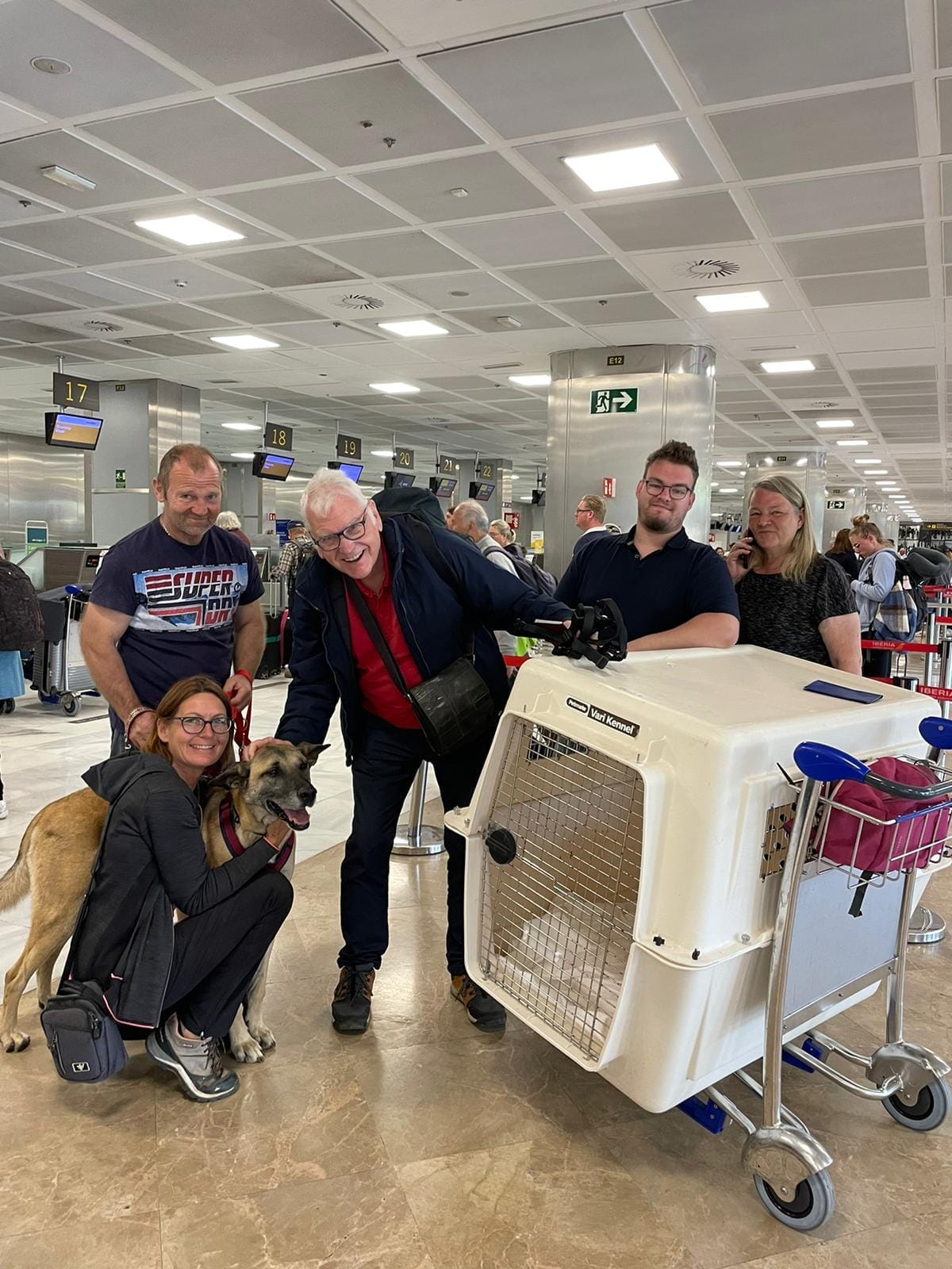 Equipo de voluntariado acompaña a un perro en el aeropuerto